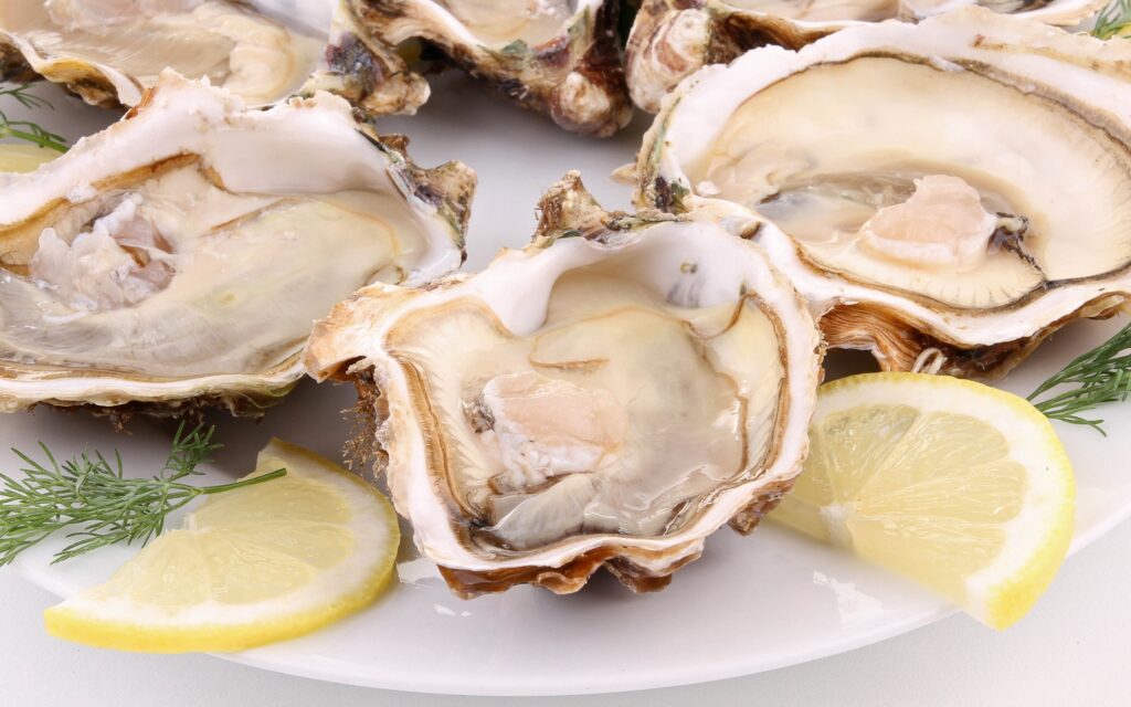 Download wallpapers oysters, clams, dish, lemon