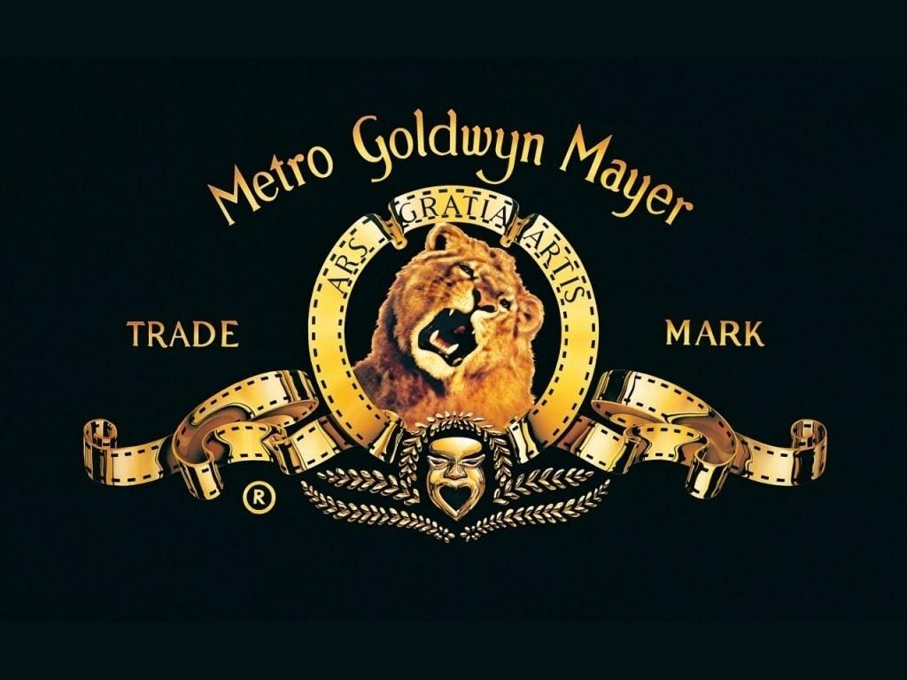 Mike Winston Long MGM Holdings