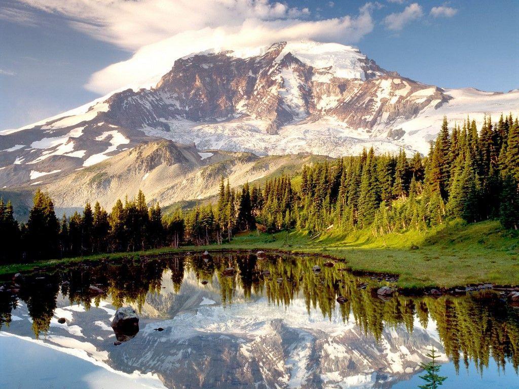 USA National Parks Wallpaper Mount Rainier 2K wallpapers and