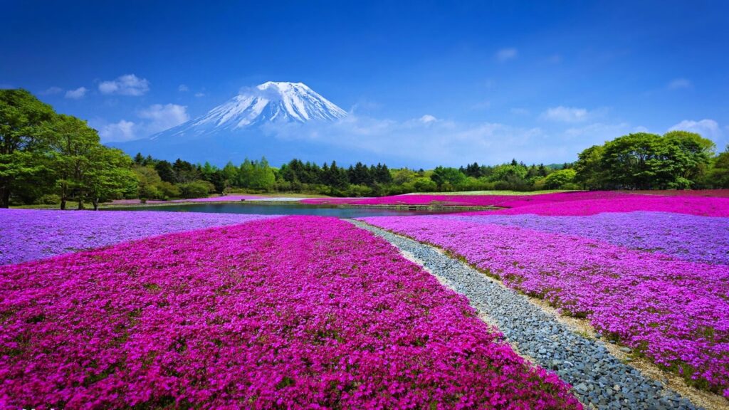 Mount Fuji Landscape, Japan K UltraHD Wallpapers