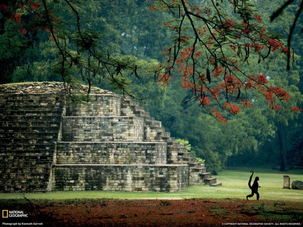 Maya Tomb, Honduras