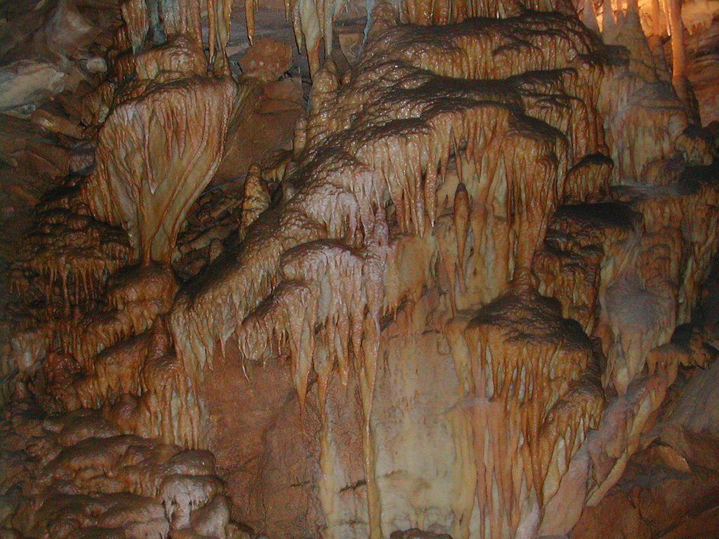 FileMammoth Cave National Park K