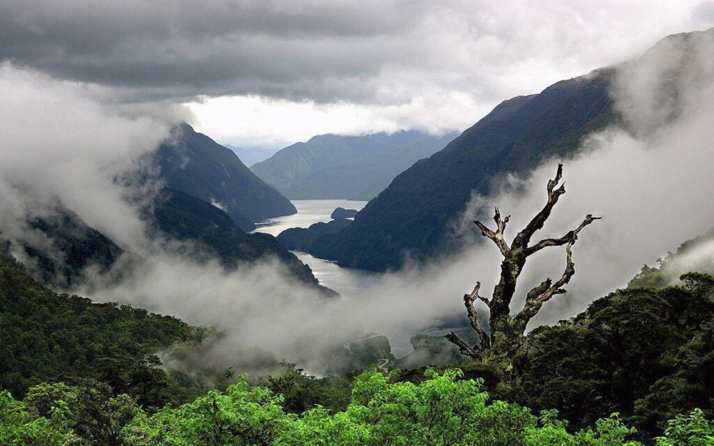 Misty Mountain in New Zealand Wallpaper, iPhone Wallpapers