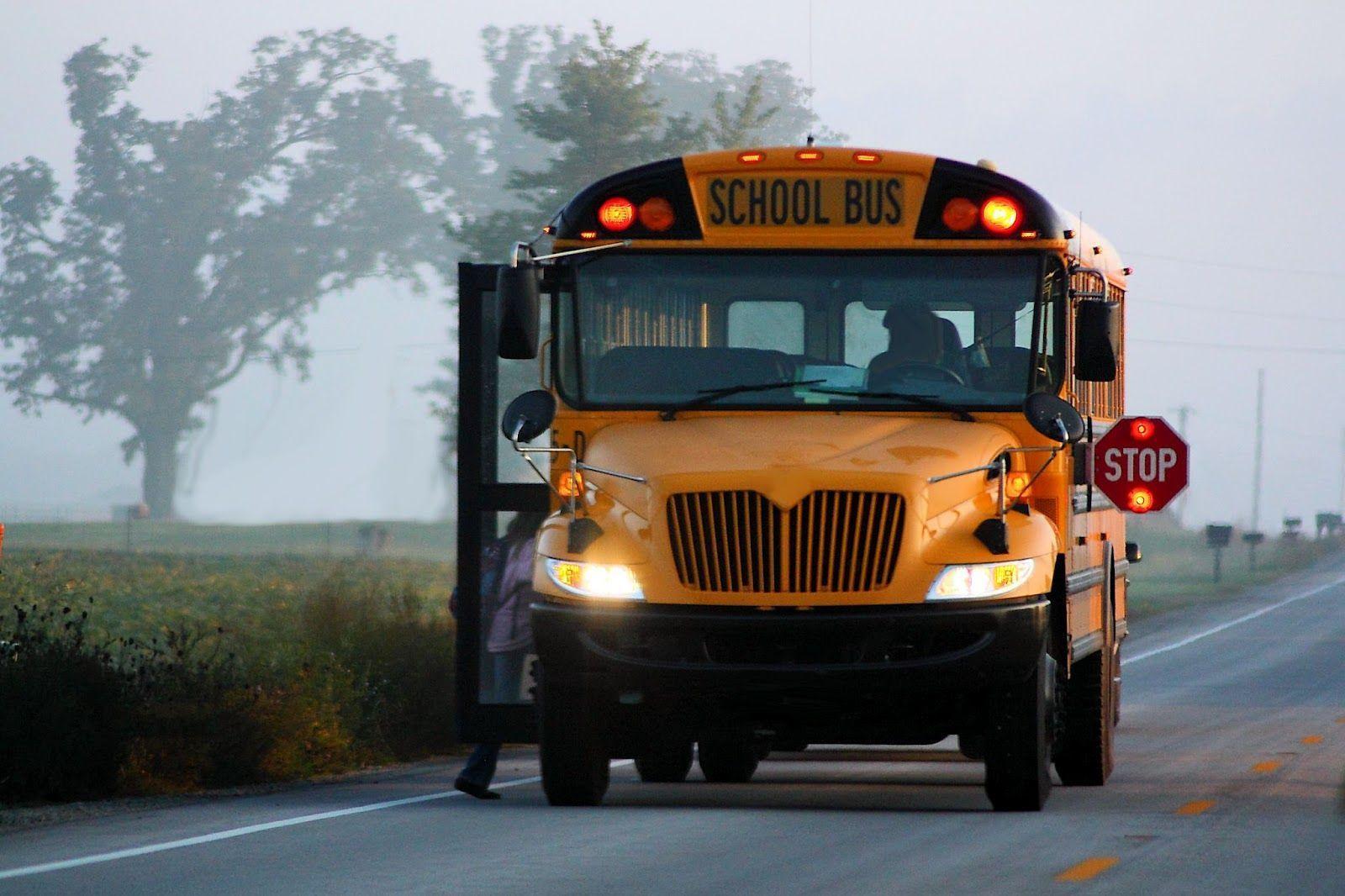 Wallpapers and pictures School bus in the morning 2K wallpapers