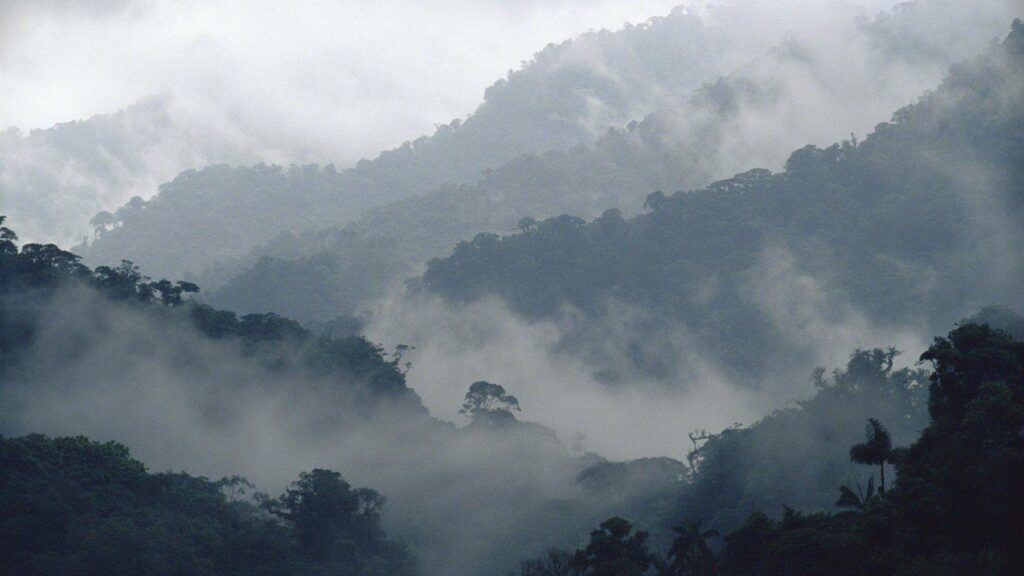 Costa Rica Cloud Forest Wallpapers