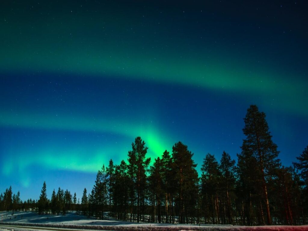 Download wallpapers northern lights, aurora, trees, light