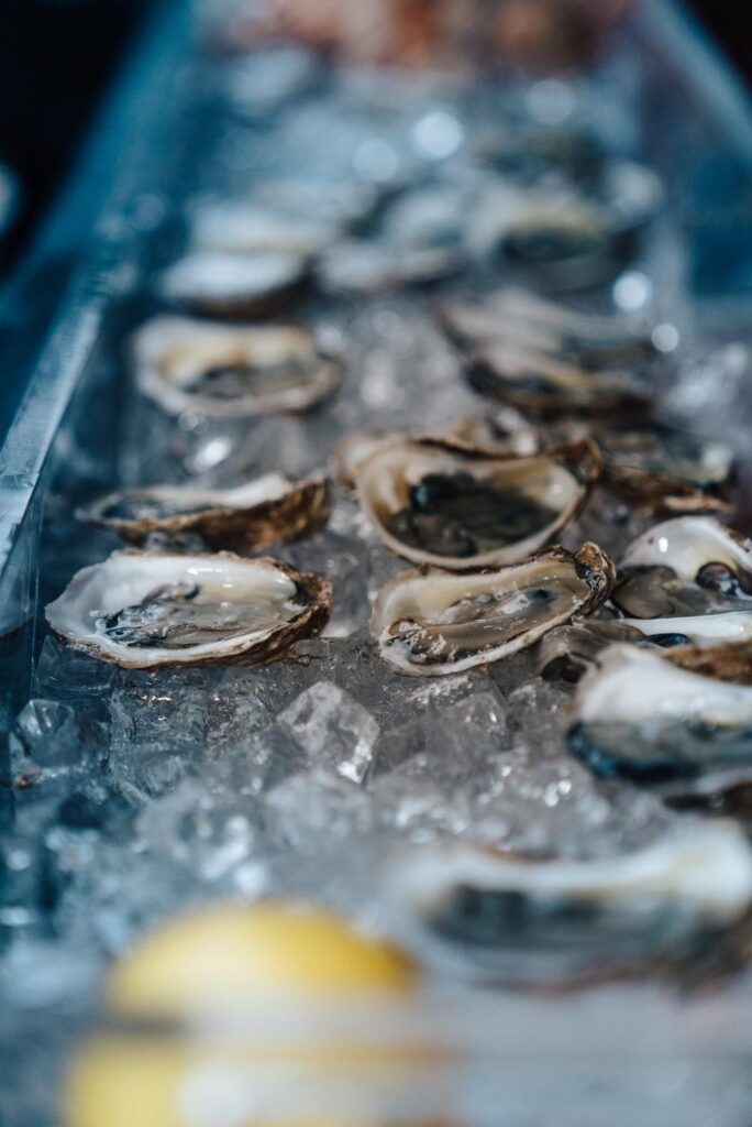 Shallow focus photography of oysters on bowl photo – Free
