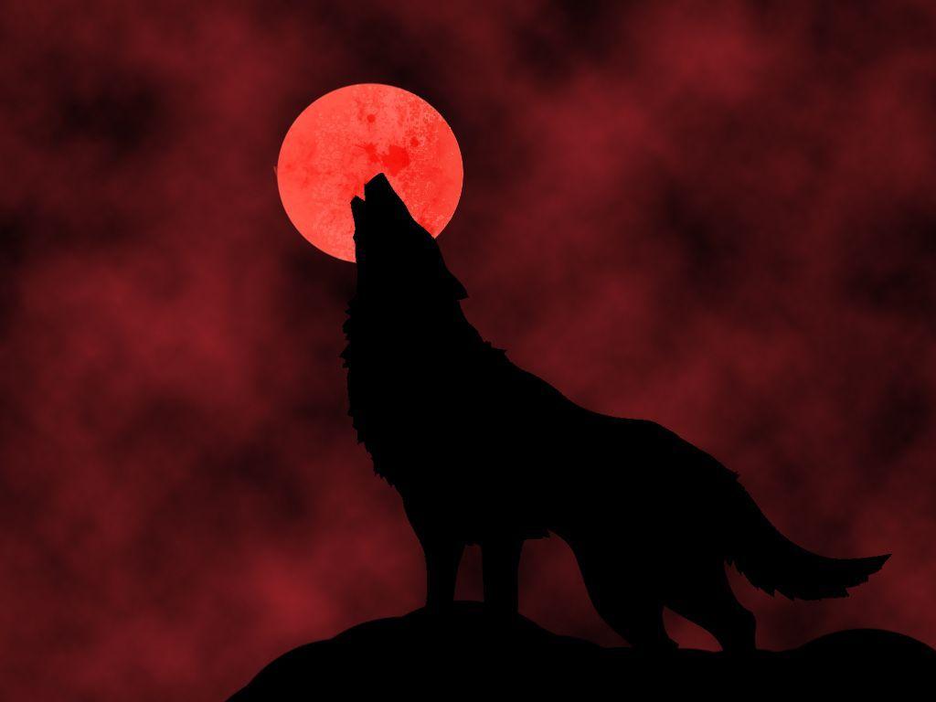 Wallpapers For – Red Moon Wolf Wallpapers