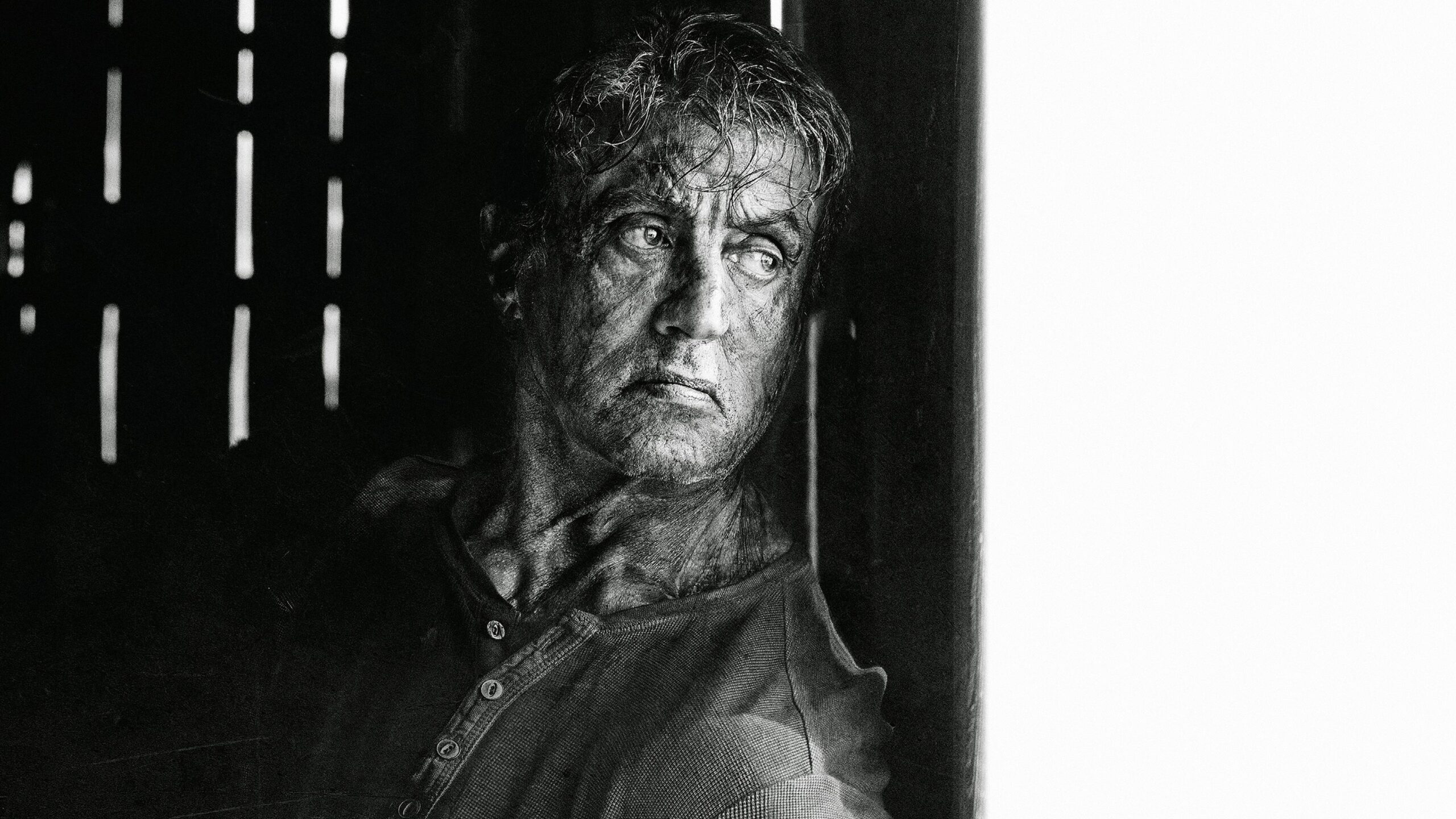 Rambo Last Blood Sylvester Stallone K Wallpapers