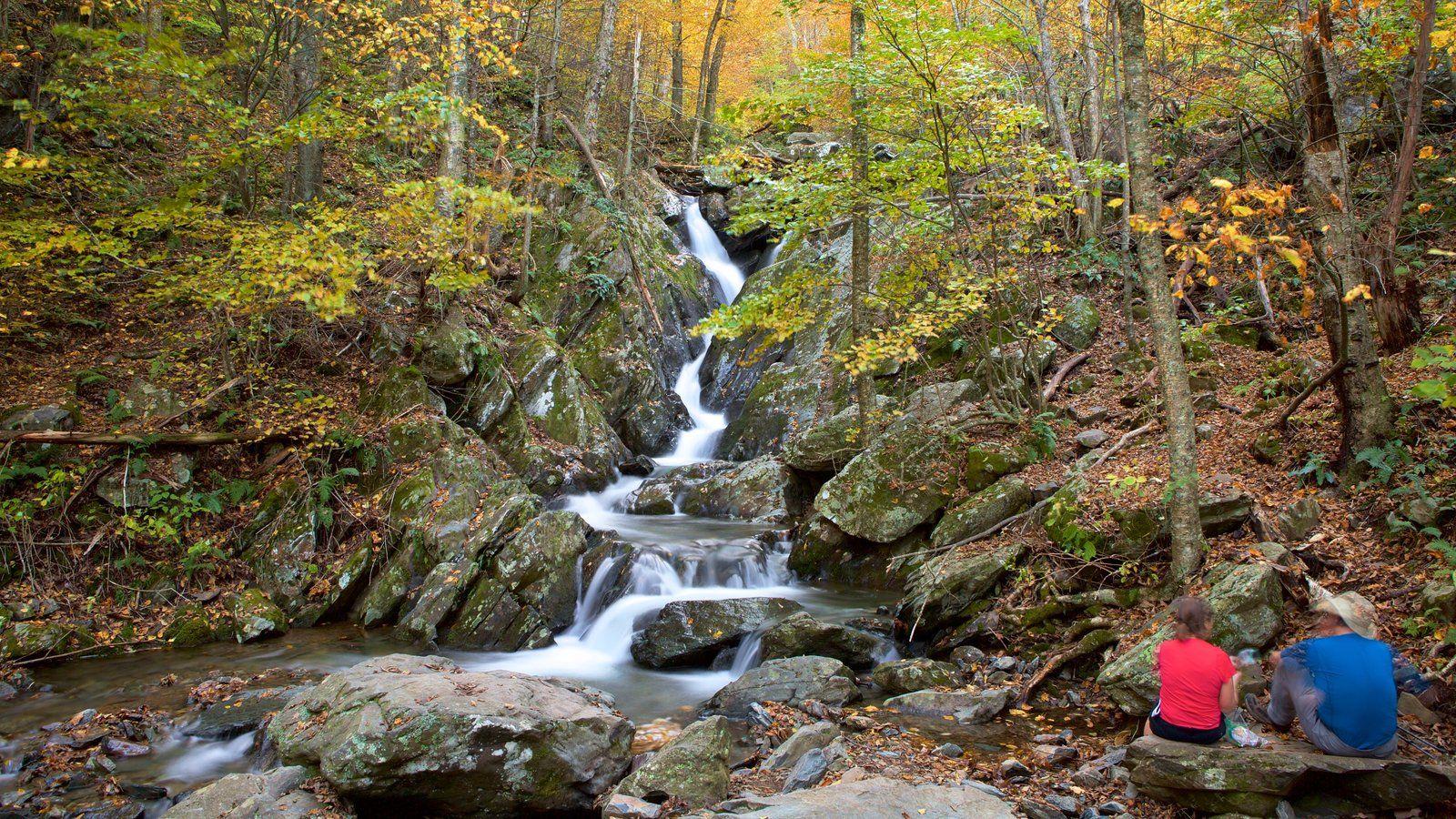 Nature Pictures View Wallpaper of Shenandoah National Park