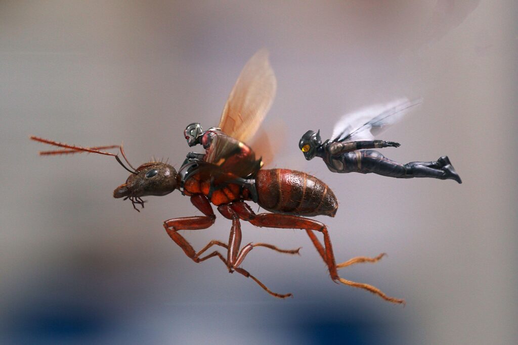 Ant Man And The Wasp, 2K Movies, k Wallpapers, Wallpaper, Backgrounds