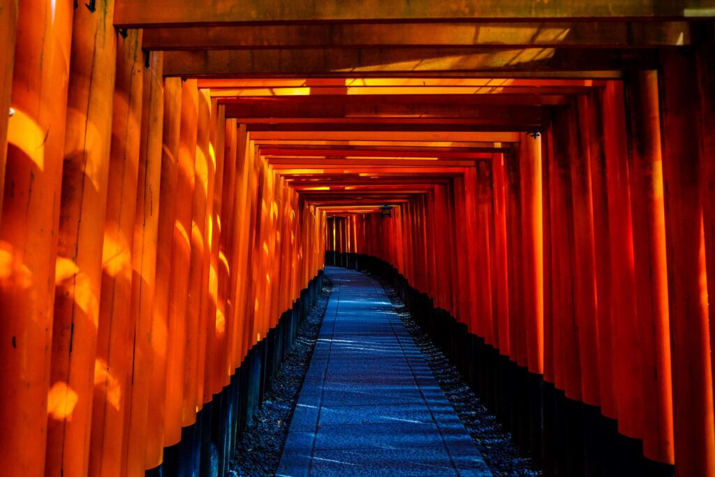 Fushimi inari taisha, japan, temple, torii k wallpapers and backgrounds