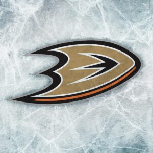 Anaheim Ducks