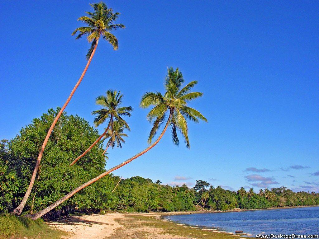 Desk 4K Wallpapers » Natural Backgrounds » Erakor Beach Vanuatu