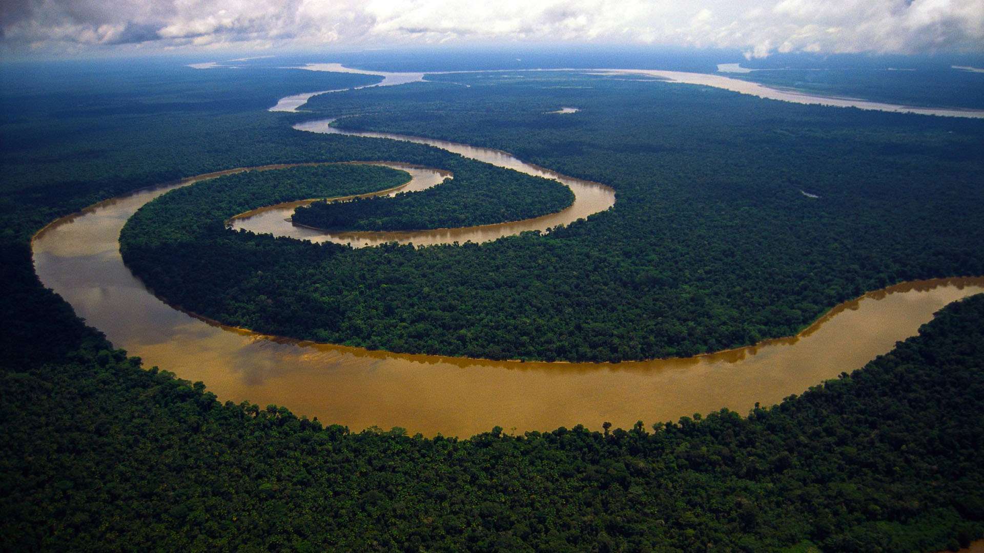 Nature Amazon River
