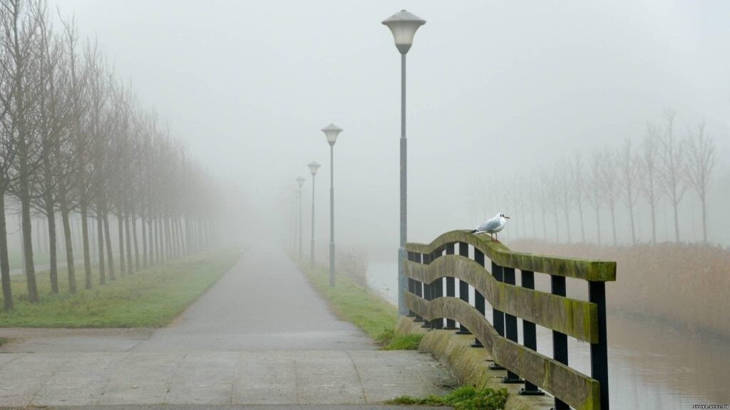 4K best photographs of fog Wallpaper