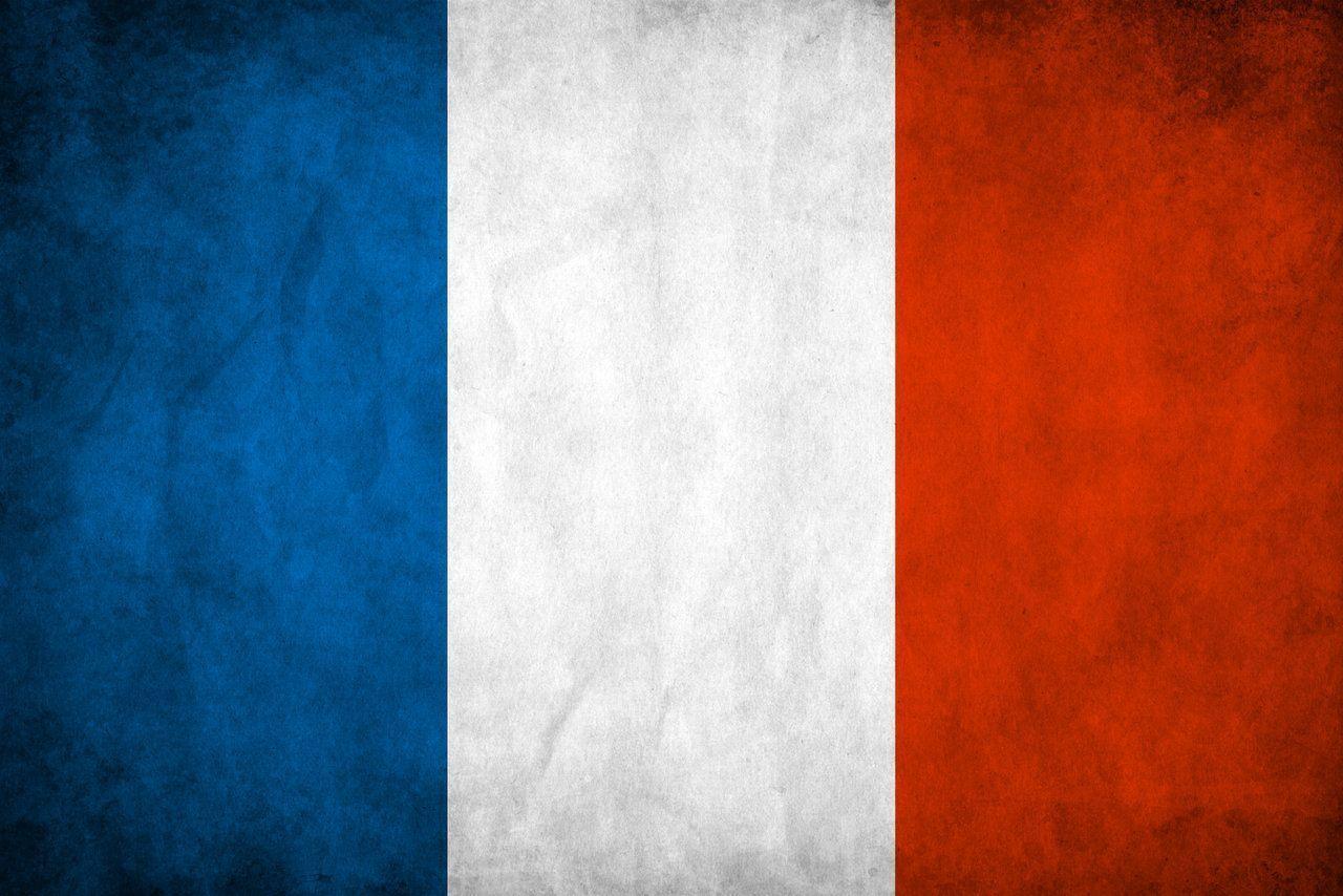 France Flag by think