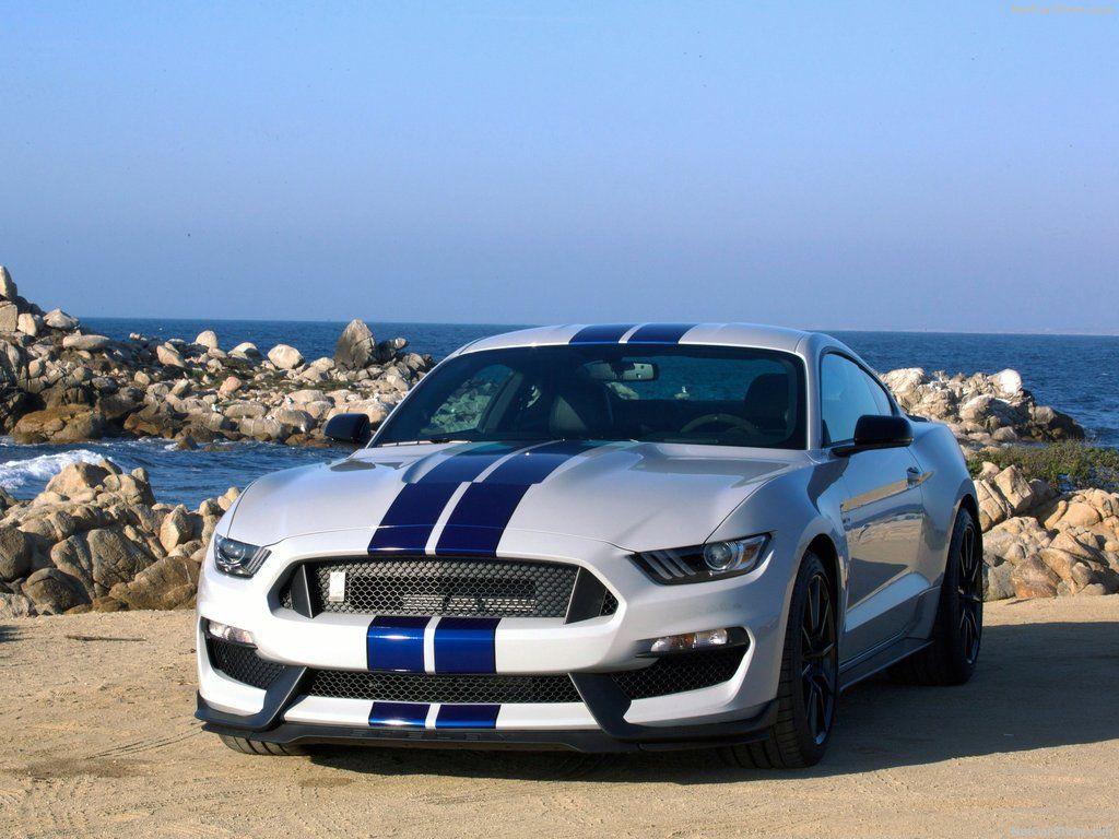 Shelby Mustang GT Wallpaper Ford Mustang Shelby GT White