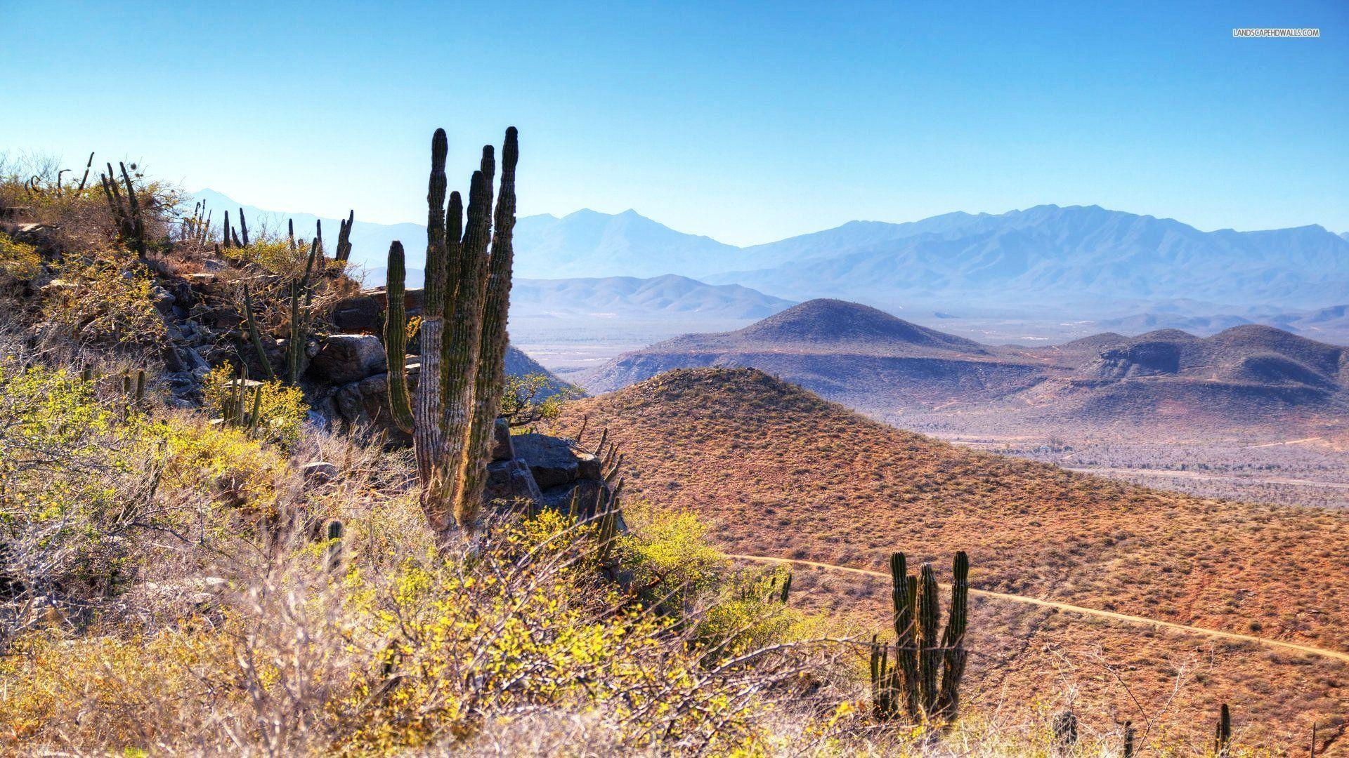Desert In Baja California
