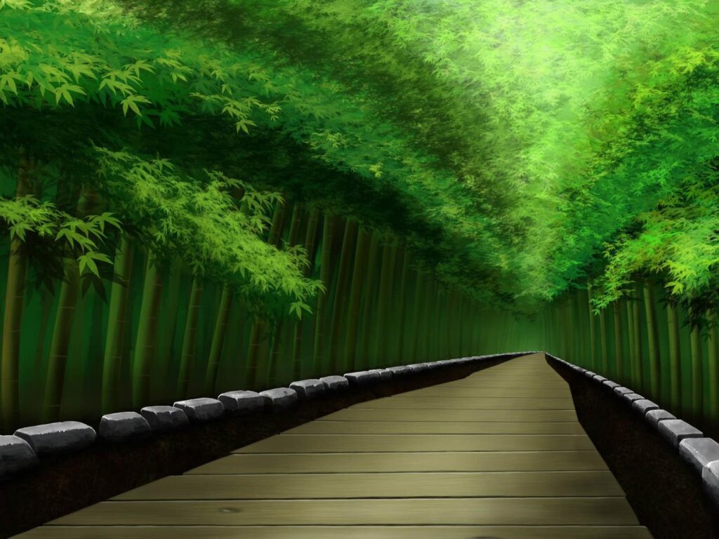 Bamboo Forest Japan Wallpapers