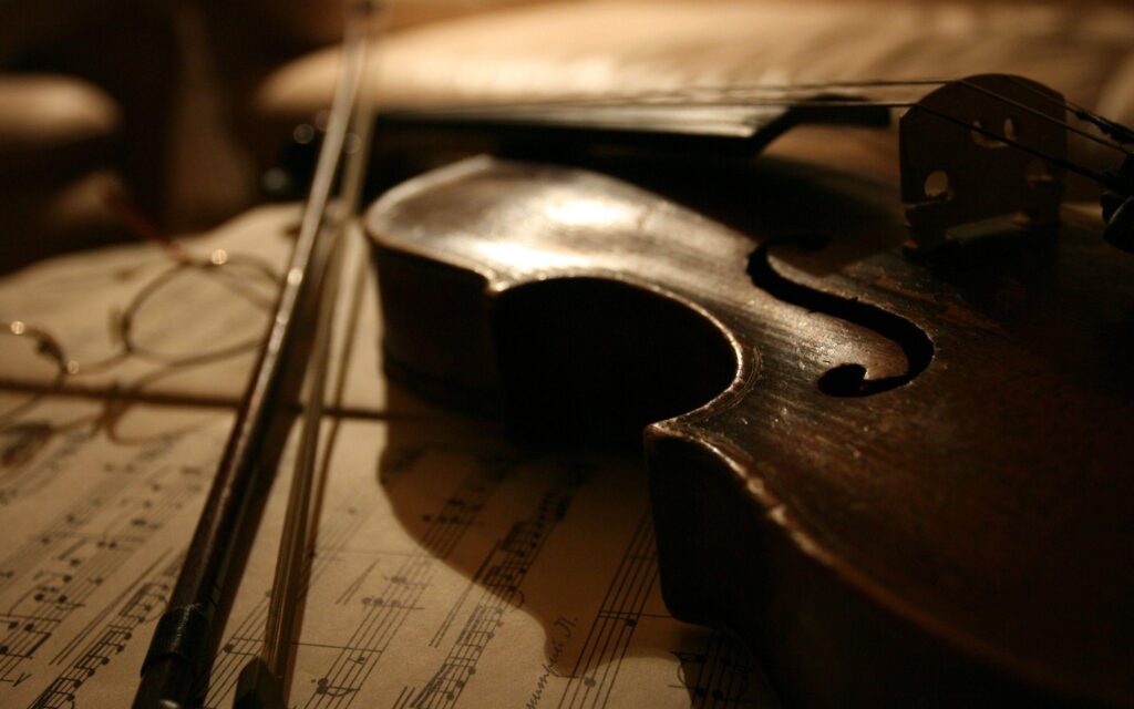 Viola Wallpapers, Collection of Viola Backgrounds, Viola High