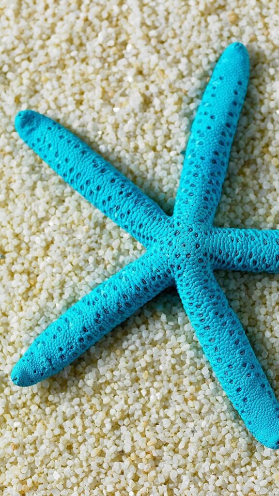 Beach Starfish Samsung Galaxy A Wallpapers 2K Desktop