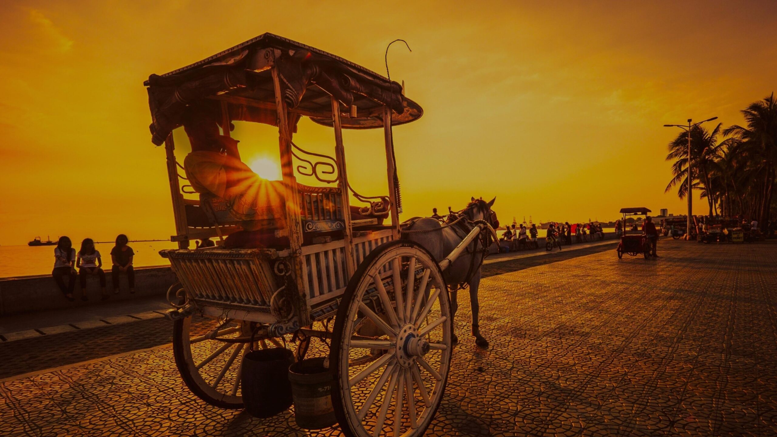 Horse Cart In The Sunset