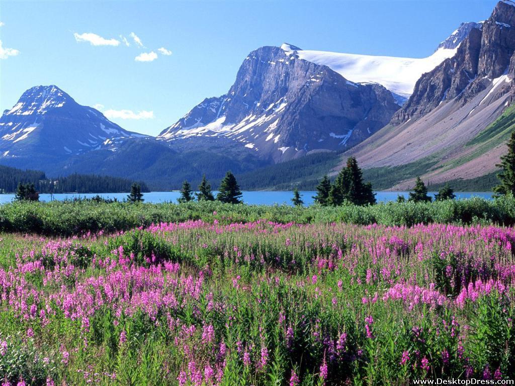 Desk 4K Wallpapers » Natural Backgrounds » Bow Lake, Canadian