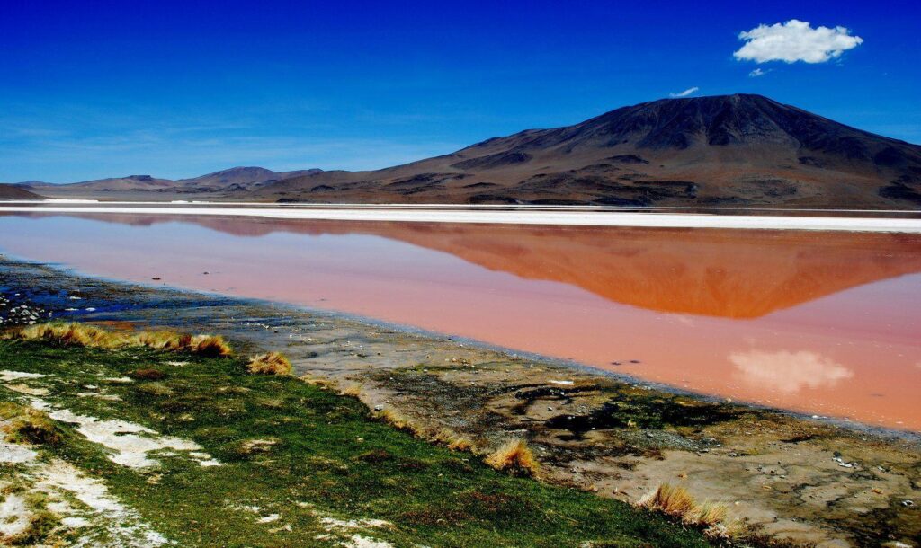 Laguna colorada bolivia