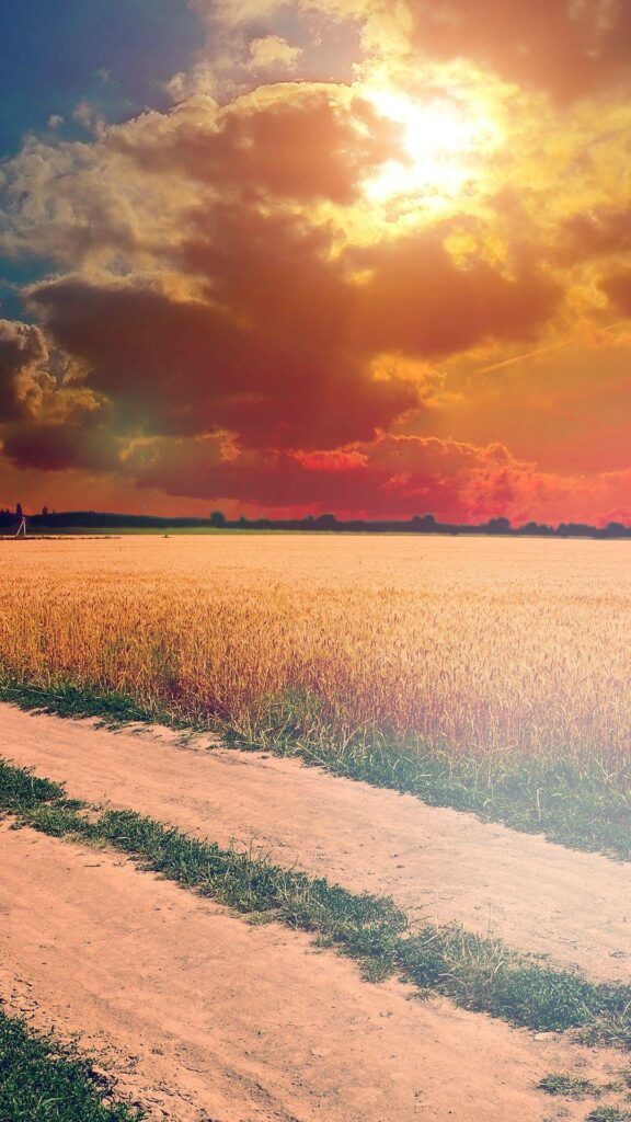 Hot Sunny Day Instagram Look Nature Farm iPhone Wallpapers