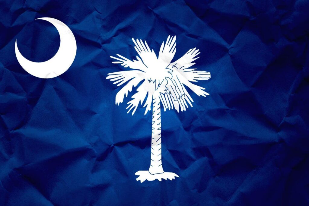 Flag of South Carolina with Paper Texture