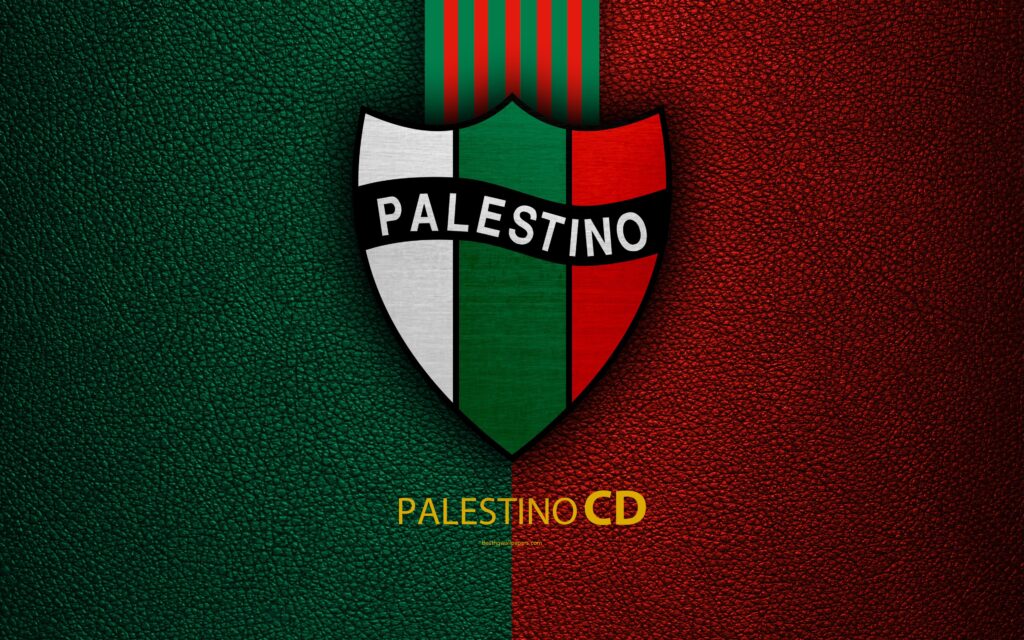 Download wallpapers Club Deportivo Palestino, k, logo, leather