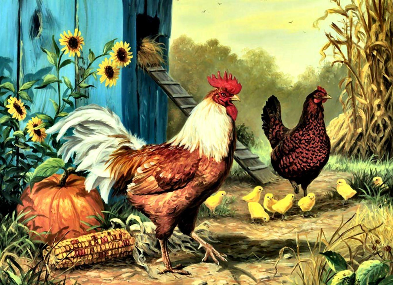 Chickens Painting Wallpapers