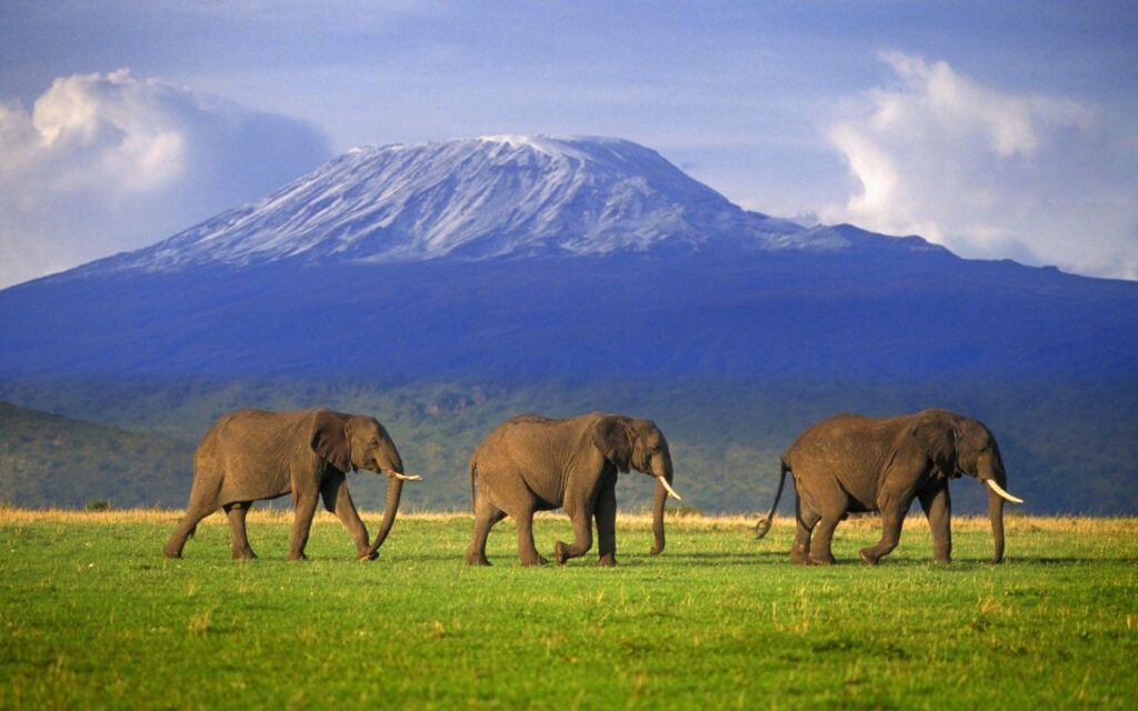 MOUNT KILIMANJARO my daughter’s goal is to climb this some day