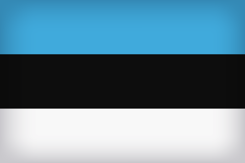 Estonia Large Flag