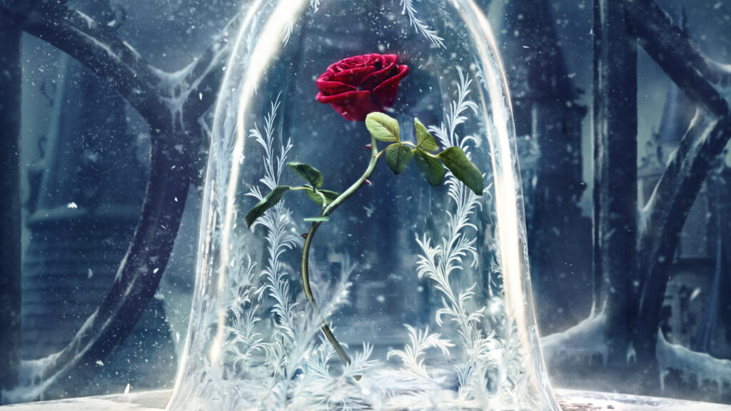Wallpapers Beauty and the Beast, Movies, Disney, Rose, Movies,