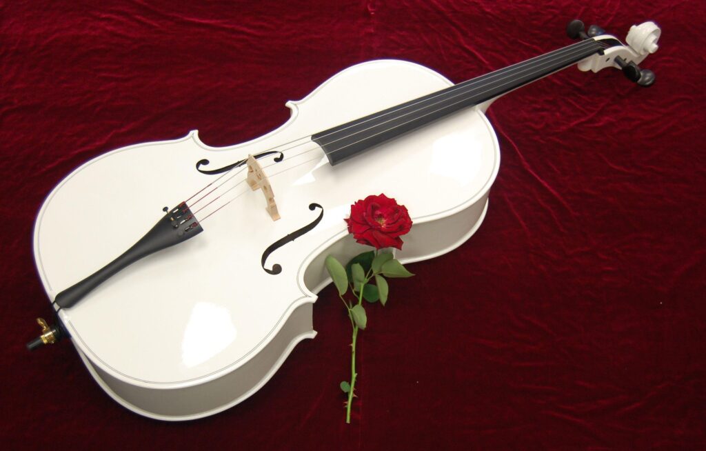 Cello Instruments Philharmonic Wallpapers