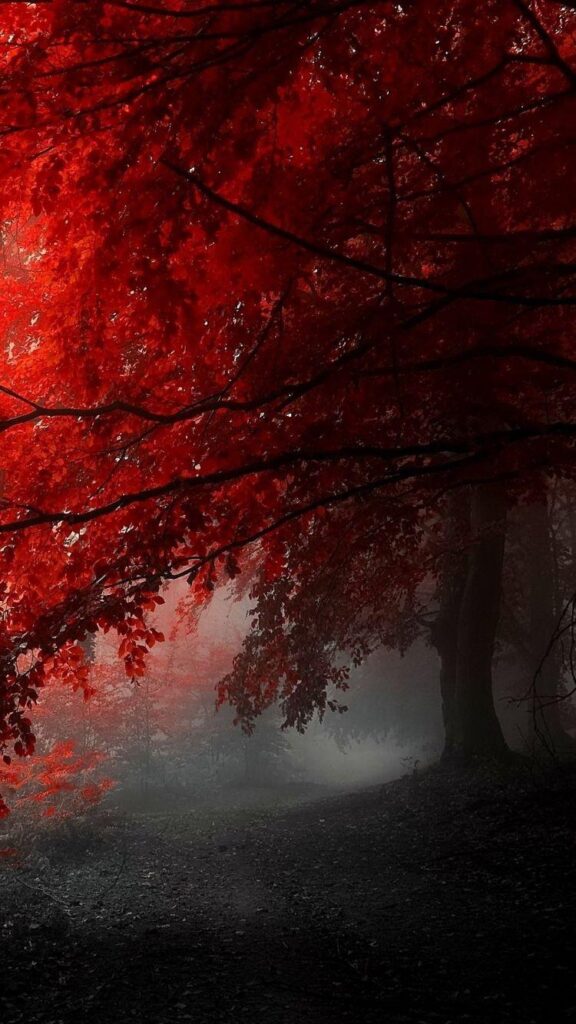 HD awesome red tree iphone wallpapers