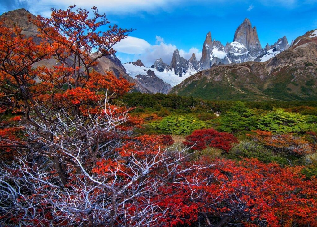 Colorful countryside Patagonia wallpapers and Wallpaper