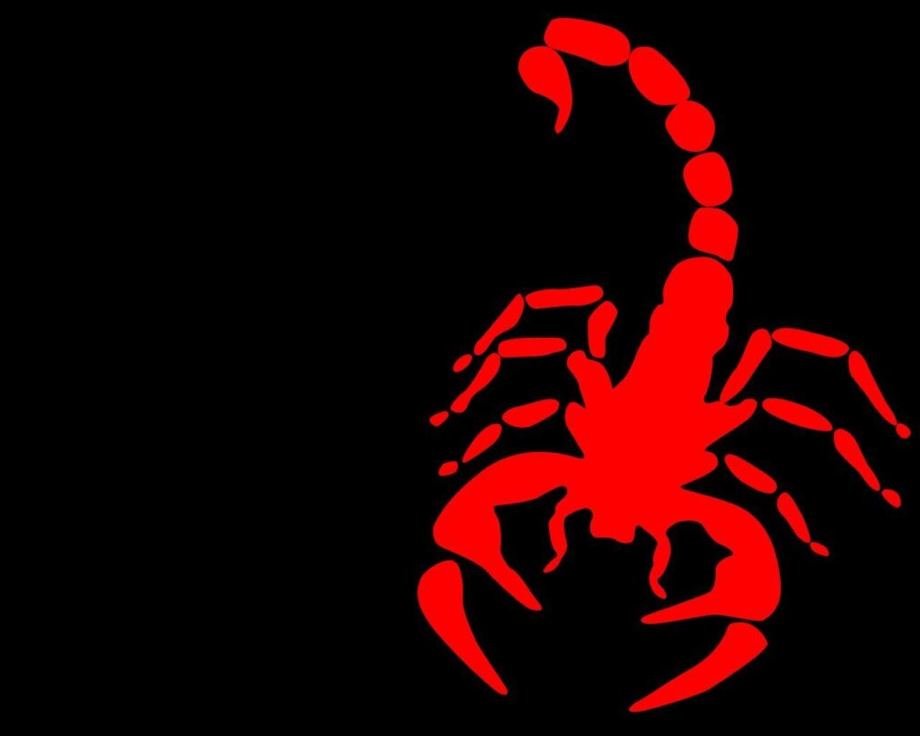 scorpions wallpapers High Quality Wallpapers,High