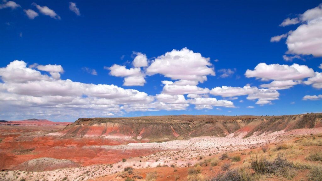 Landscape Pictures View Wallpaper of Petrified Forest National Park