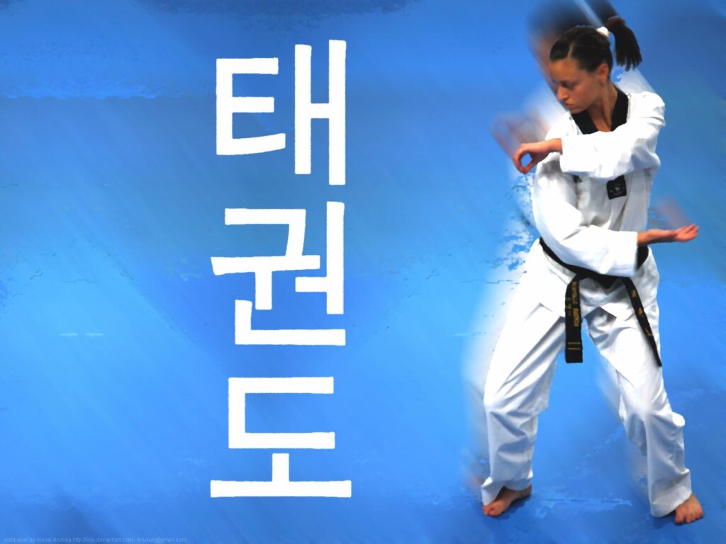 Wallpaper For – Taekwondo Wallpapers Free Download