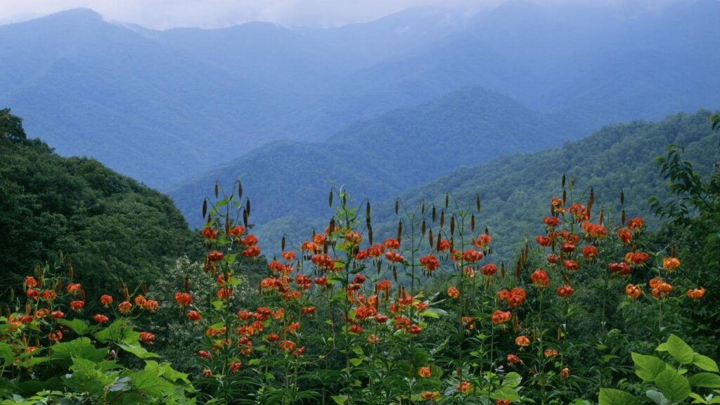 Smoky Mountains Spring Wallpapers