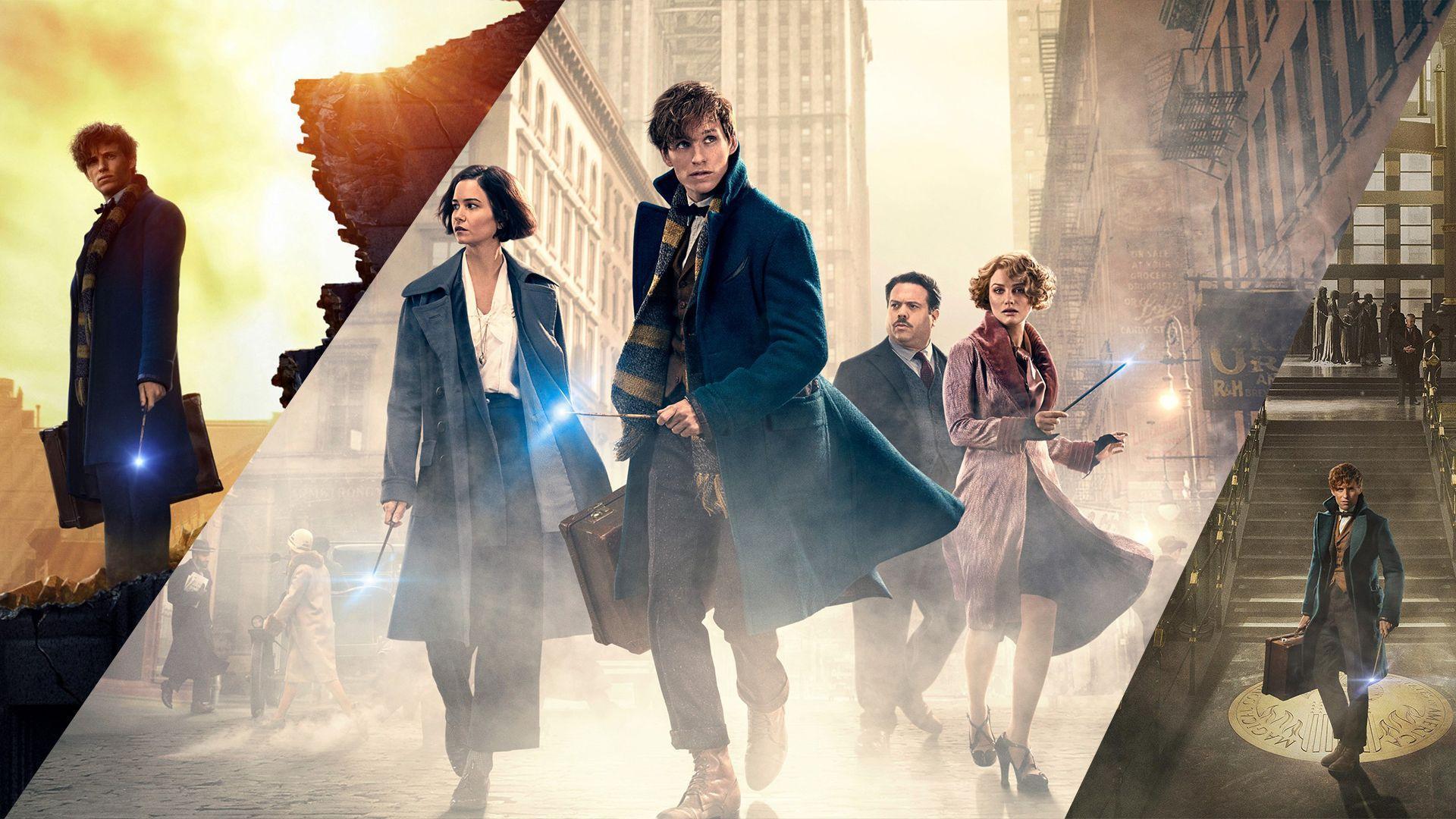 Fantastic Beasts and Where to Find Them Computer Wallpapers