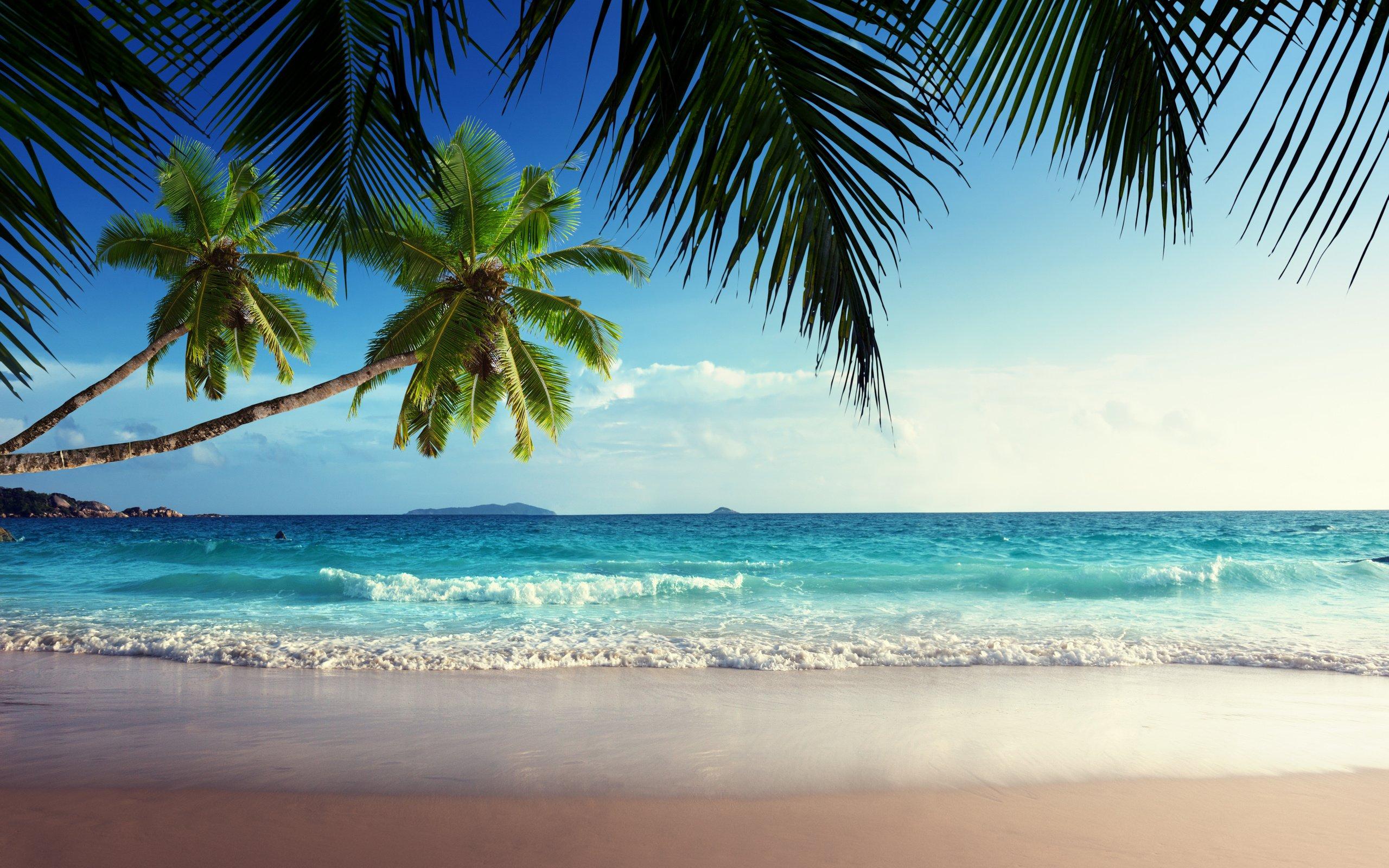Emerald sea paradise sunshine beach sky tropical blue coast