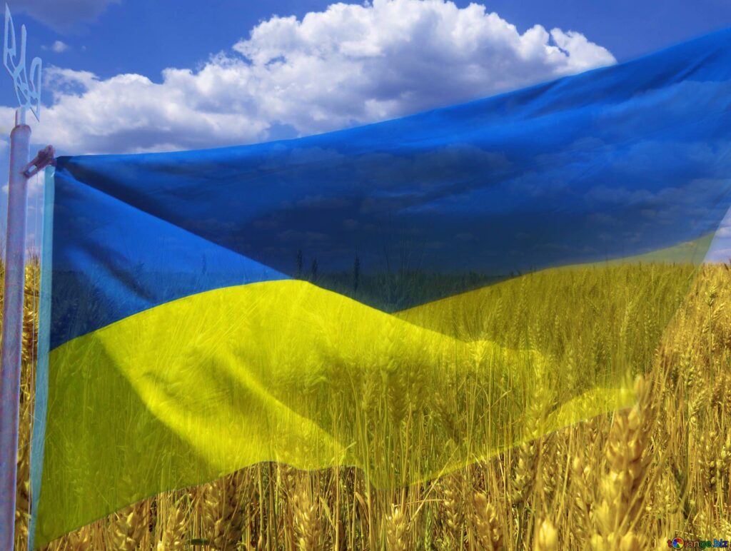 Ukraine Flag №