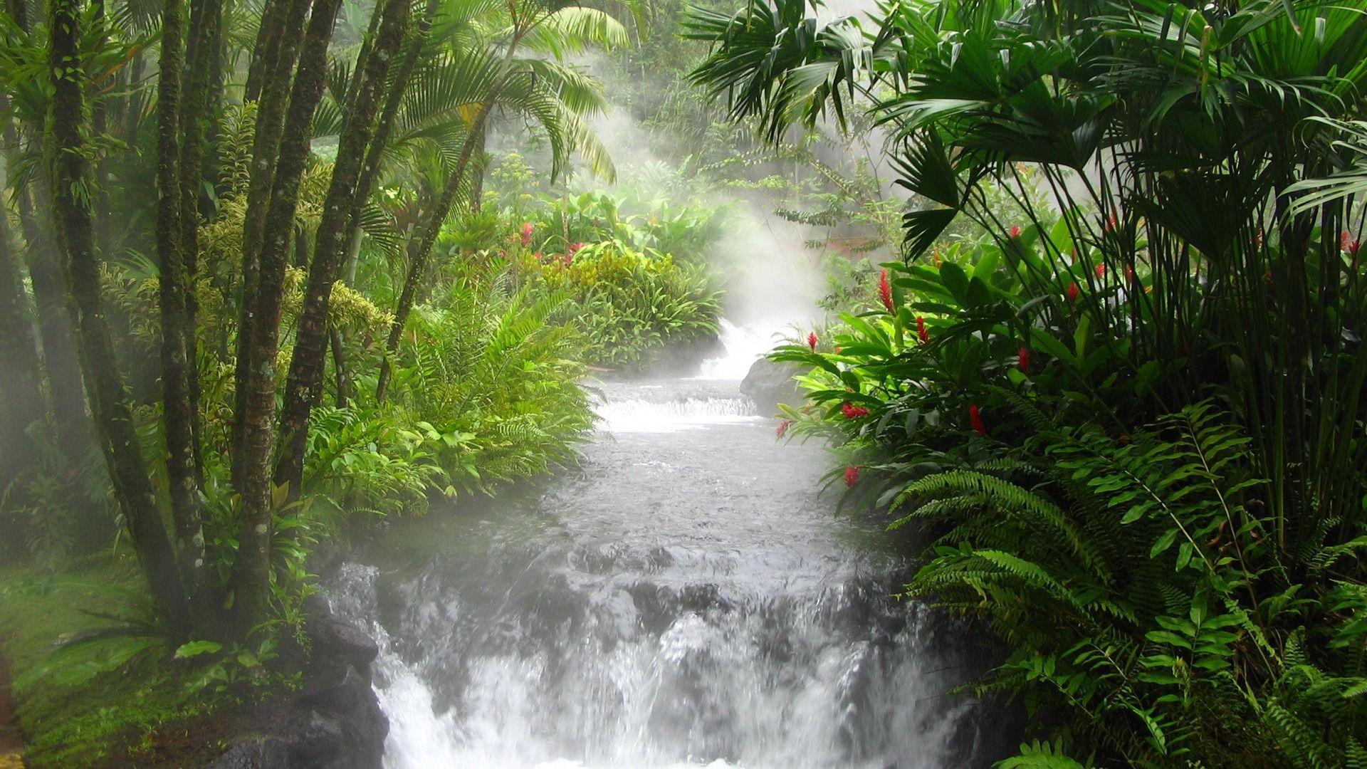 Hot water river in Costa rica wallpapers and Wallpaper