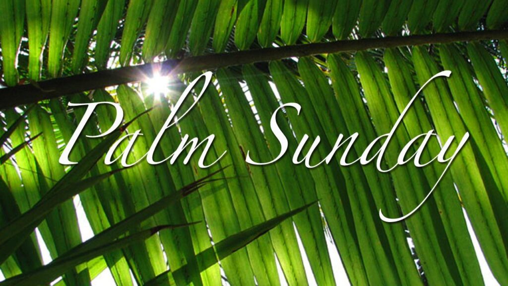 Palm Sunday 2K Wallpapers and Wallpaper Download Free