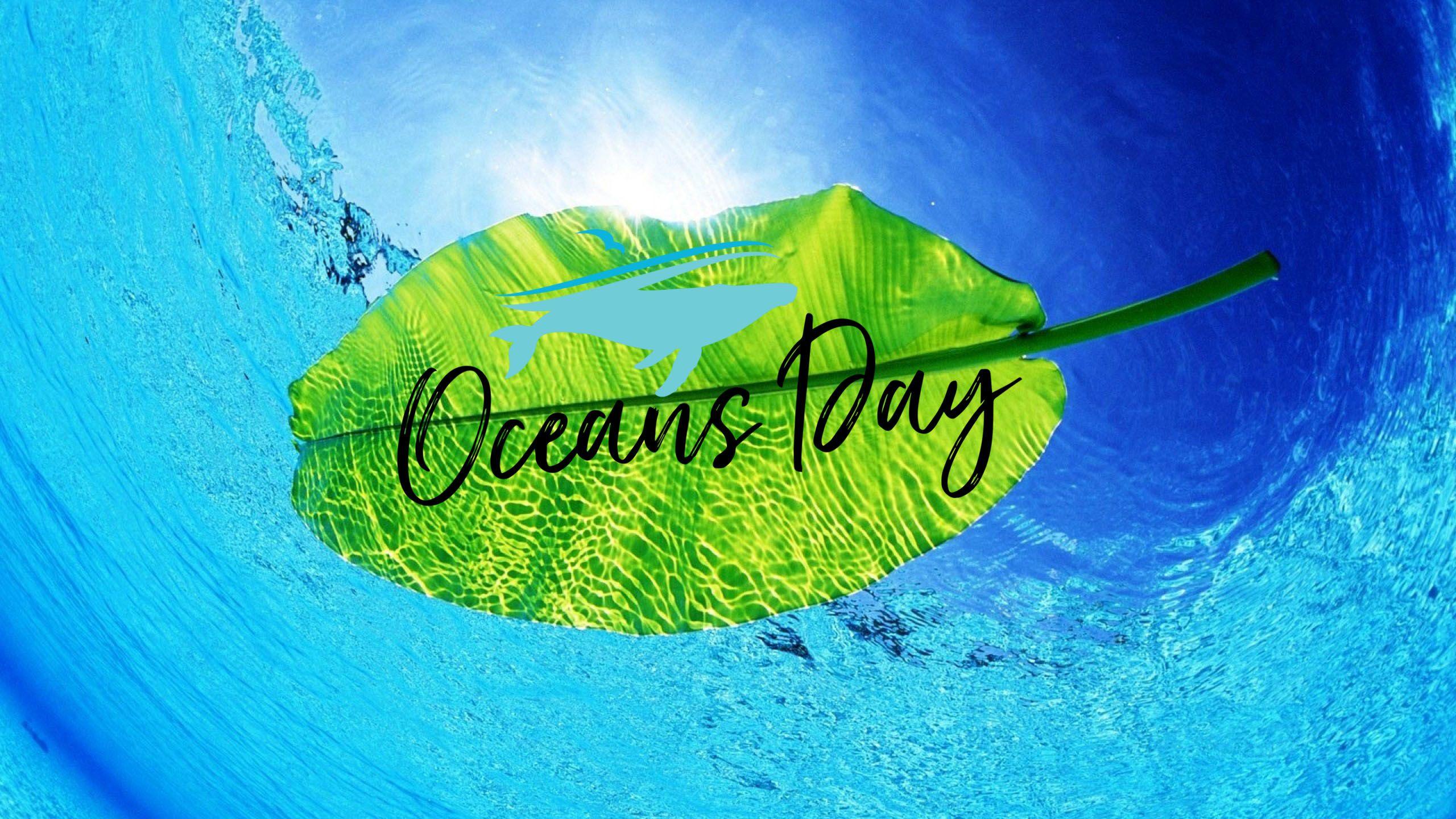 Happy World Oceans Day Leaf 2K Wallpapers