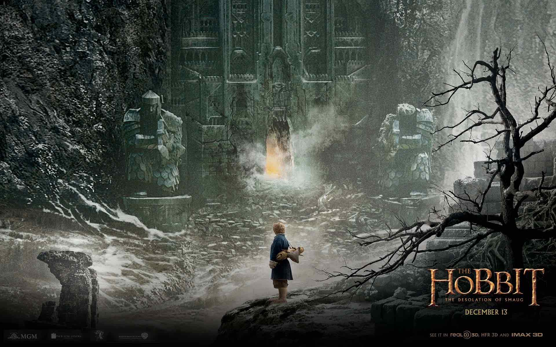 The Hobbit Desolation of Smaug Wallpapers & Backgrounds